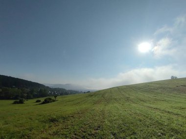 Ormanda sis. Ağaçların arkasındaki güneş ışınları. Slovakya