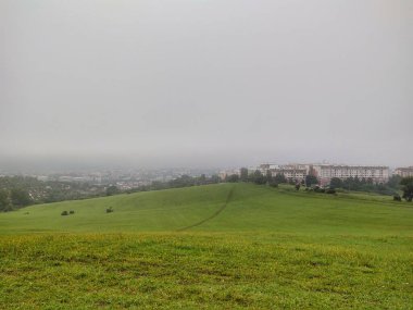 Ormanda sis. Ağaçların arkasındaki güneş ışınları. Slovakya
