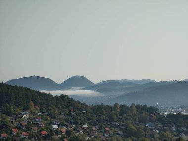 Ormanda sis. Ağaçların arkasındaki güneş ışınları. Slovakya