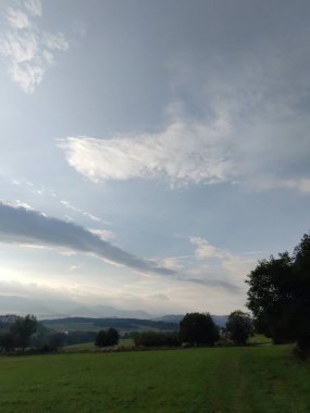 Ormanda sis. Ağaçların arkasındaki güneş ışınları. Slovakya