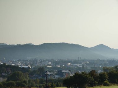 Ormanda sis. Ağaçların arkasındaki güneş ışınları. Slovakya