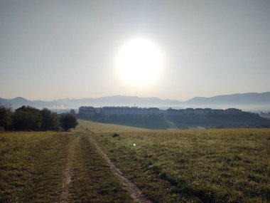 Ormanda sis. Ağaçların arkasındaki güneş ışınları. Slovakya