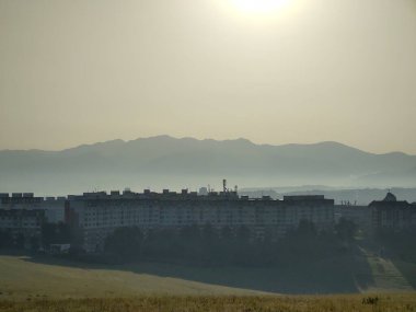 Ormanda sis. Ağaçların arkasındaki güneş ışınları. Slovakya