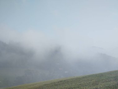 Ormanda sis. Ağaçların arkasındaki güneş ışınları. Slovakya