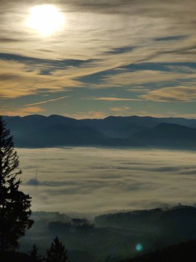Ormanda sis. Ağaçların arkasındaki güneş ışınları. Slovakya