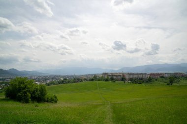 Ormanda sihirli ağaçlar ve yollar. Slovakya