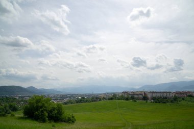 Ormanda sihirli ağaçlar ve yollar. Slovakya