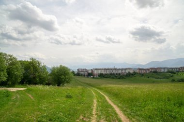 Ormanda sihirli ağaçlar ve yollar. Slovakya