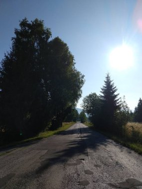 Ormanda sihirli ağaçlar ve yollar. Slovakya