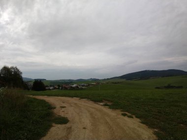 Ormanda sihirli ağaçlar ve yollar. Slovakya