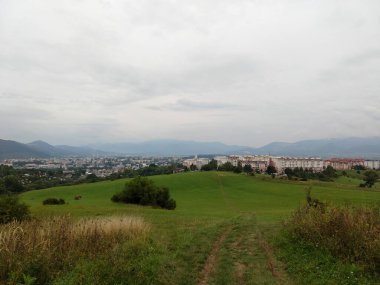 Ormanda sihirli ağaçlar ve yollar. Slovakya