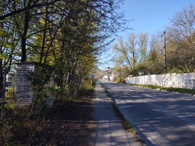 Ormanda sihirli ağaçlar ve yollar. Slovakya