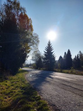 Ormanda sihirli ağaçlar ve yollar. Slovakya