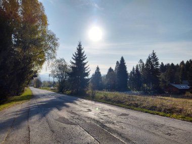 Ormanda sihirli ağaçlar ve yollar. Slovakya