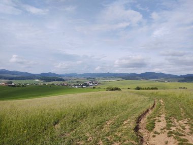 Ormanda sihirli ağaçlar ve yollar. Slovakya