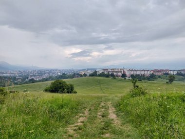 Ormanda sihirli ağaçlar ve yollar. Slovakya