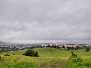 Ormanda sihirli ağaçlar ve yollar. Slovakya