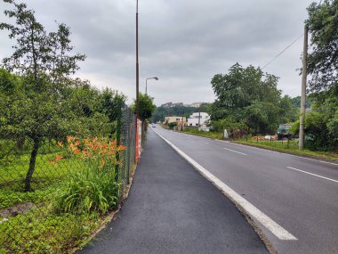Ormanda sihirli ağaçlar ve yollar. Slovakya