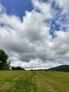 Ormanda sihirli ağaçlar ve yollar. Slovakya