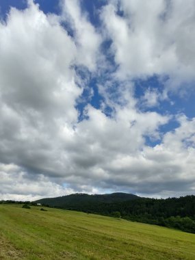 Ormanda sihirli ağaçlar ve yollar. Slovakya