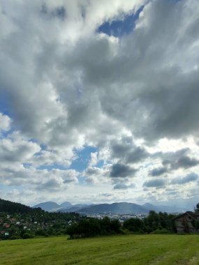 Ormanda sihirli ağaçlar ve yollar. Slovakya