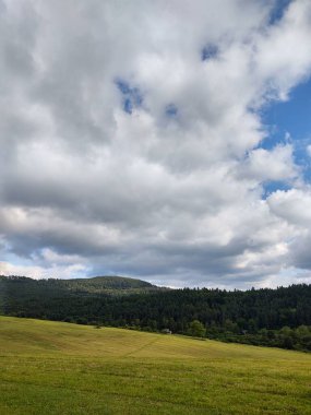 Ormanda sihirli ağaçlar ve yollar. Slovakya