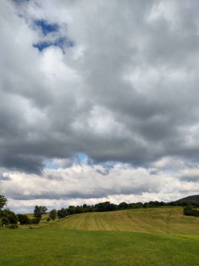 Ormanda sihirli ağaçlar ve yollar. Slovakya