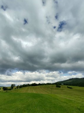 Ormanda sihirli ağaçlar ve yollar. Slovakya