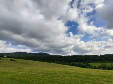 Ormanda sihirli ağaçlar ve yollar. Slovakya