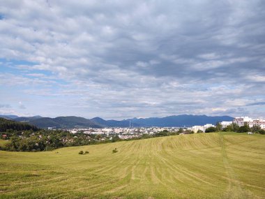Ormanda sihirli ağaçlar ve yollar. Slovakya