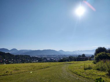 Ormanda sihirli ağaçlar ve yollar. Slovakya