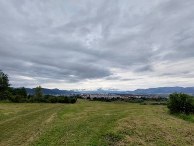 Ormanda sihirli ağaçlar ve yollar. Slovakya