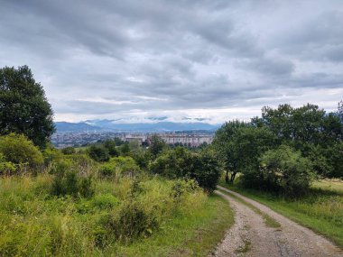 Ormanda sihirli ağaçlar ve yollar. Slovakya