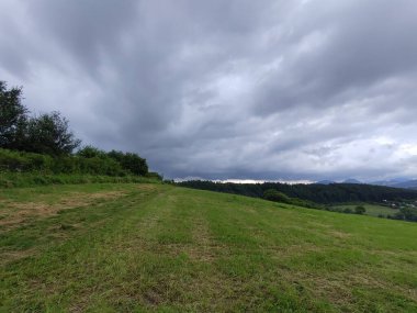 Ormanda sihirli ağaçlar ve yollar. Slovakya