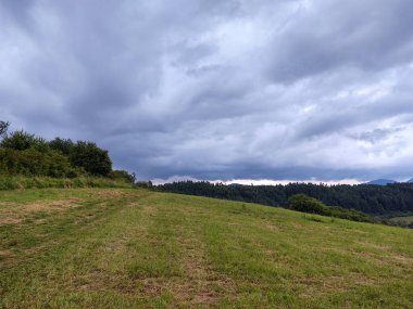 Ormanda sihirli ağaçlar ve yollar. Slovakya
