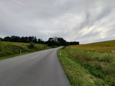 Ormanda sihirli ağaçlar ve yollar. Slovakya