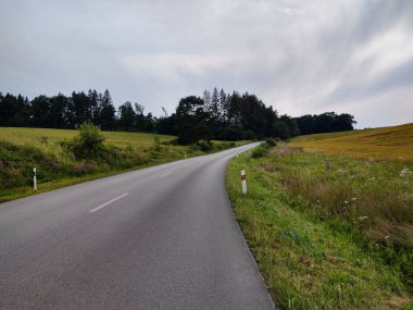 Ormanda sihirli ağaçlar ve yollar. Slovakya