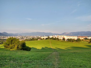 Ormanda sihirli ağaçlar ve yollar. Slovakya