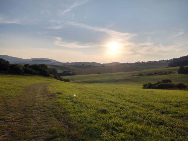 Ormanda sihirli ağaçlar ve yollar. Slovakya