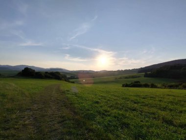 Ormanda sihirli ağaçlar ve yollar. Slovakya