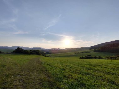 Ormanda sihirli ağaçlar ve yollar. Slovakya