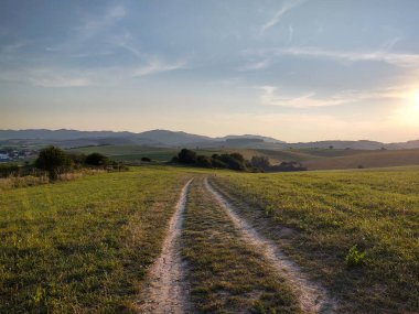 Ormanda sihirli ağaçlar ve yollar. Slovakya