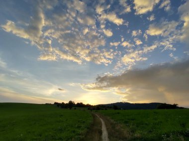 Ormanda sihirli ağaçlar ve yollar. Slovakya