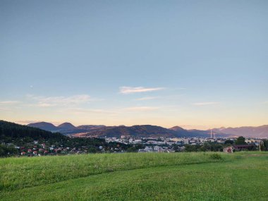 Ormanda sihirli ağaçlar ve yollar. Slovakya