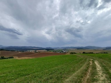 Ormanda sihirli ağaçlar ve yollar. Slovakya