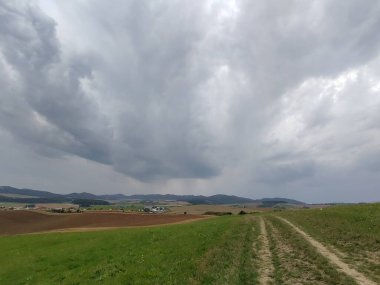 Ormanda sihirli ağaçlar ve yollar. Slovakya