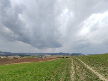 Ormanda sihirli ağaçlar ve yollar. Slovakya