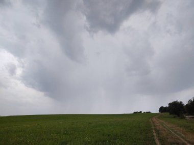 Ormanda sihirli ağaçlar ve yollar. Slovakya