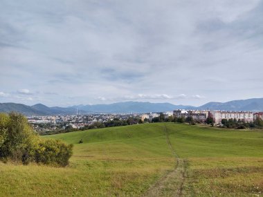 Ormanda sihirli ağaçlar ve yollar. Slovakya