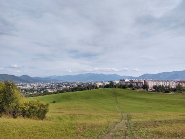 Ormanda sihirli ağaçlar ve yollar. Slovakya